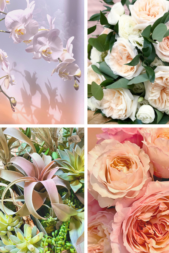 Free Floral Wallpapers For Your iPhone